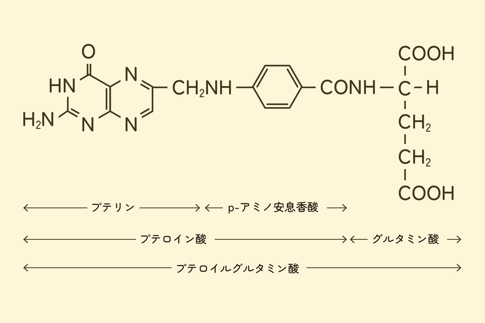 プテロイルグルタミン酸