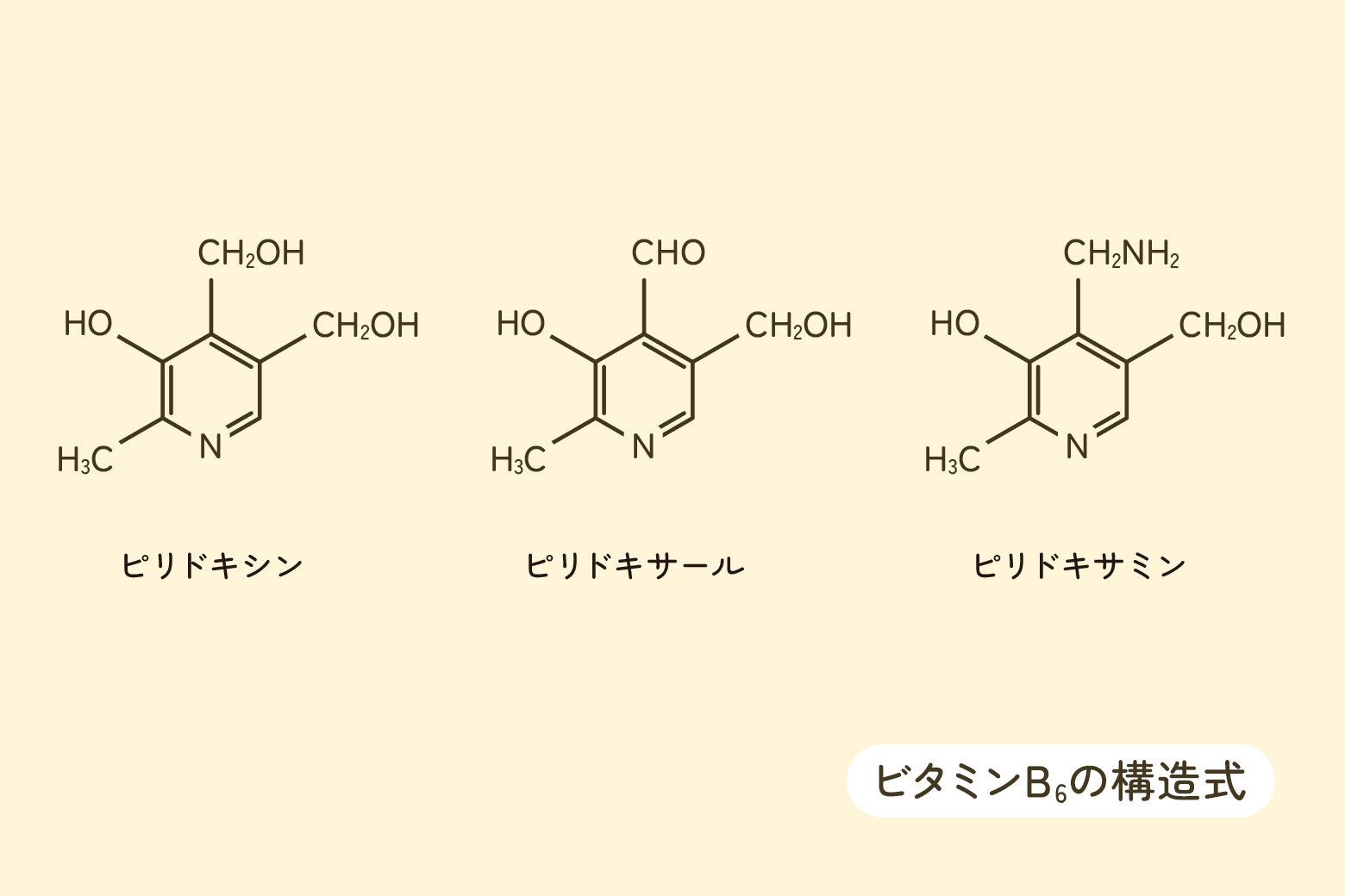 ビタミンB6の構造式